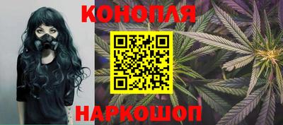 apvp Ярославль