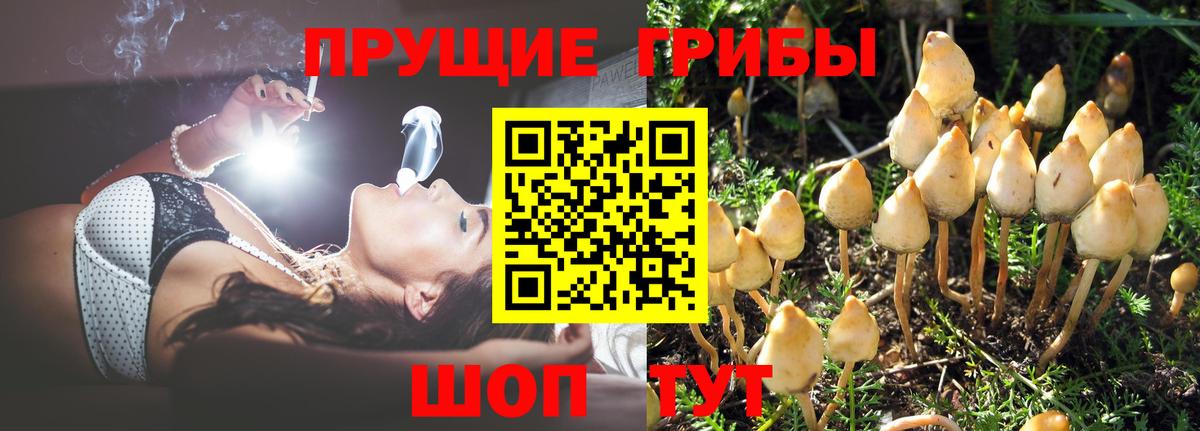 Псилоцибиновые грибы Magic Shrooms  Вход с VPN  Вязьма 